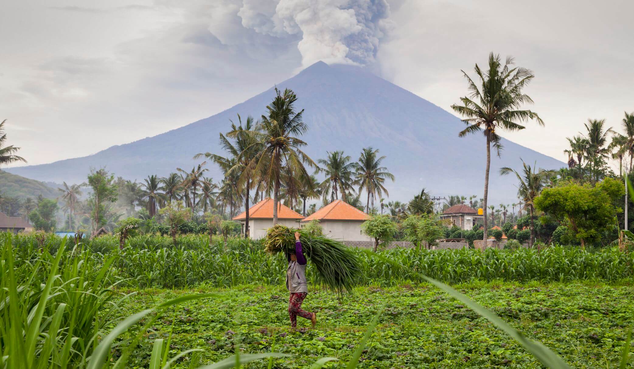 When volcanoes fill the skies with sulfur, it causes more sunlight to be reflected away from the planet.